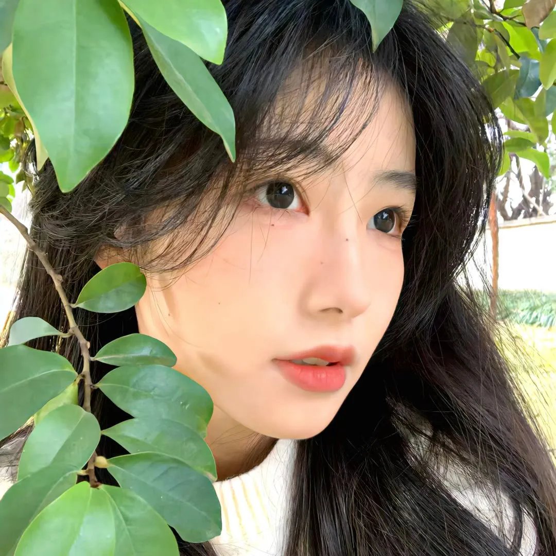 鬼马小精灵：大闹学校