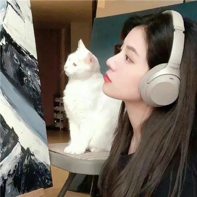 婚前一叮